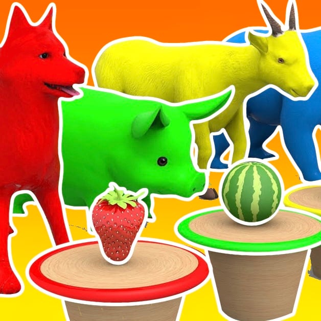 Find the same animal